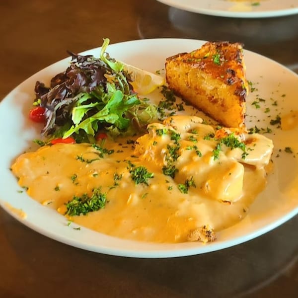 Dunmire's on the Lakes' creamy pasta dish with a side salad, lemon wedge, and garlic bread.